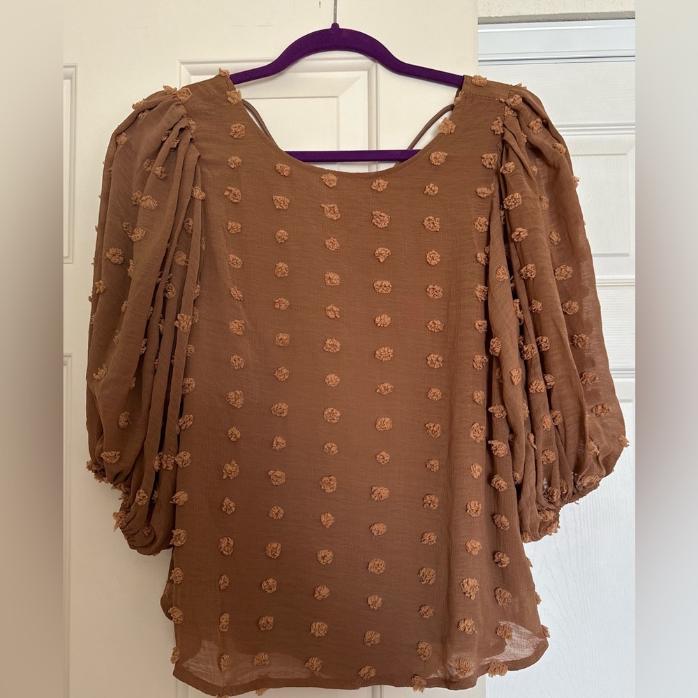 Hudson Gray Swiss dot blouse in rust